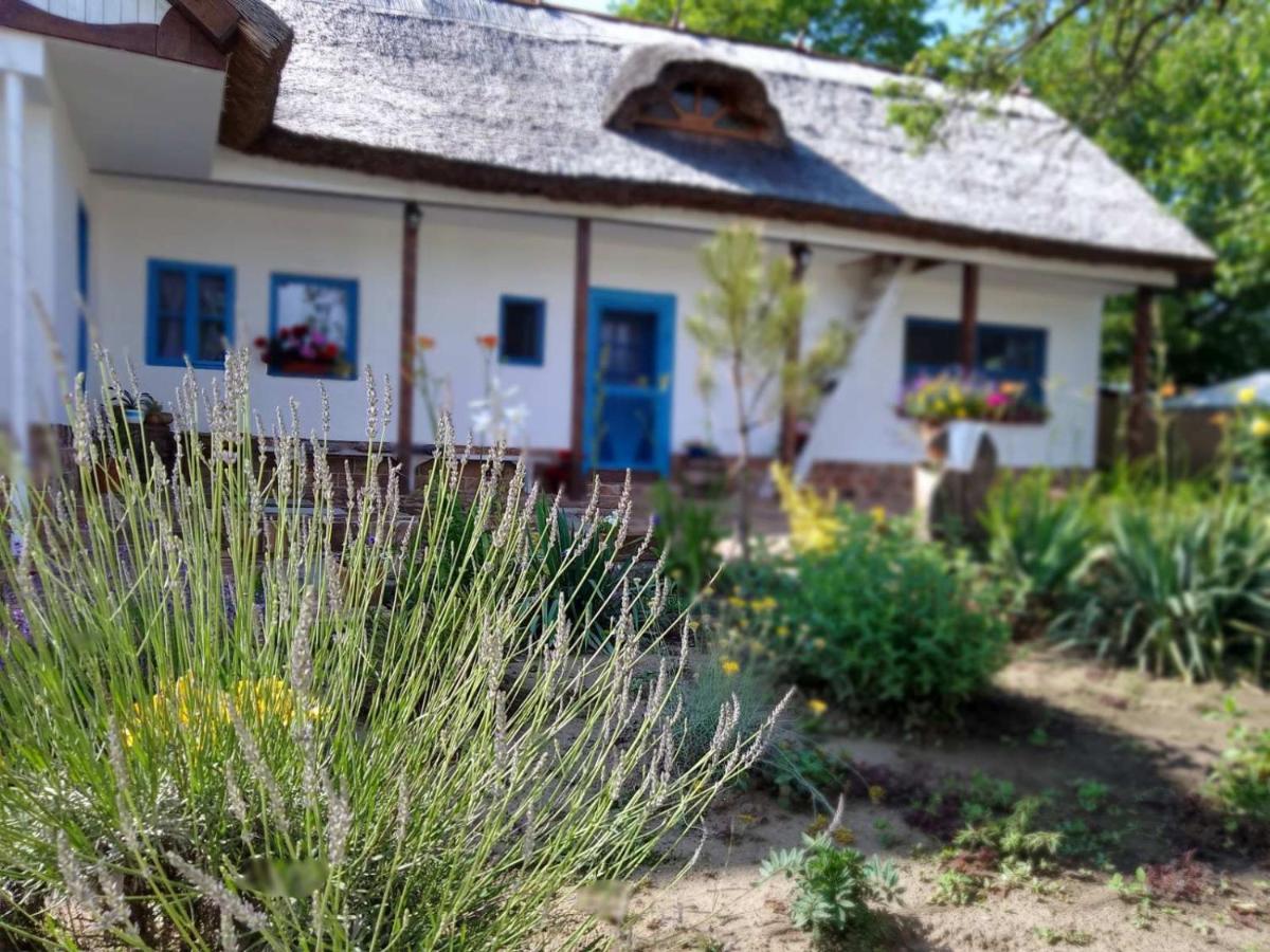 Ferienwohnung Matejev Konak Susara Exterior foto